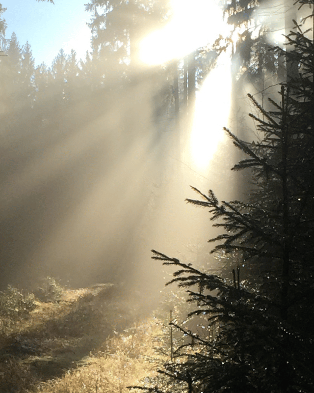 Warum Frauen durch Grenzen setzen Kraft verlieren